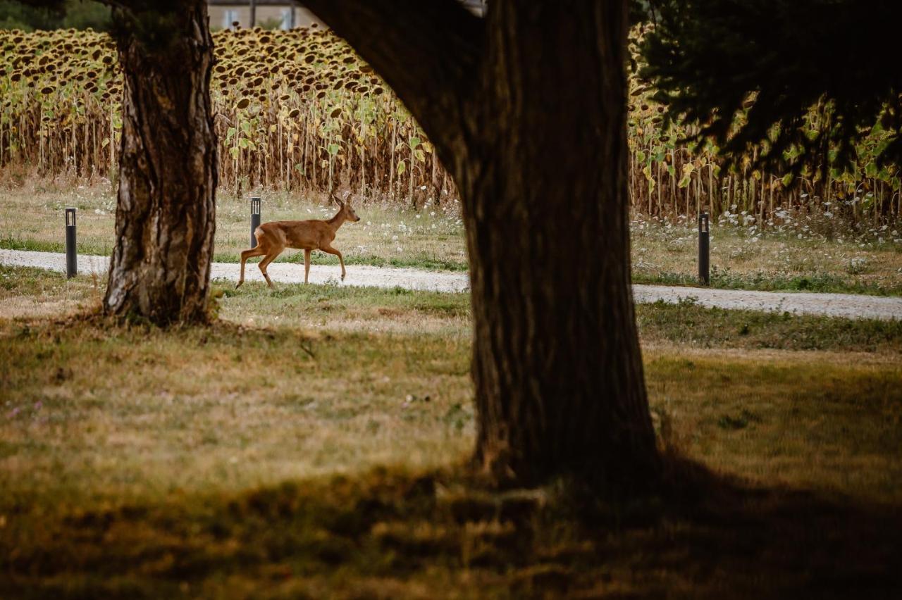 Domaine De Boulouch Hotel Lectoure Luaran gambar