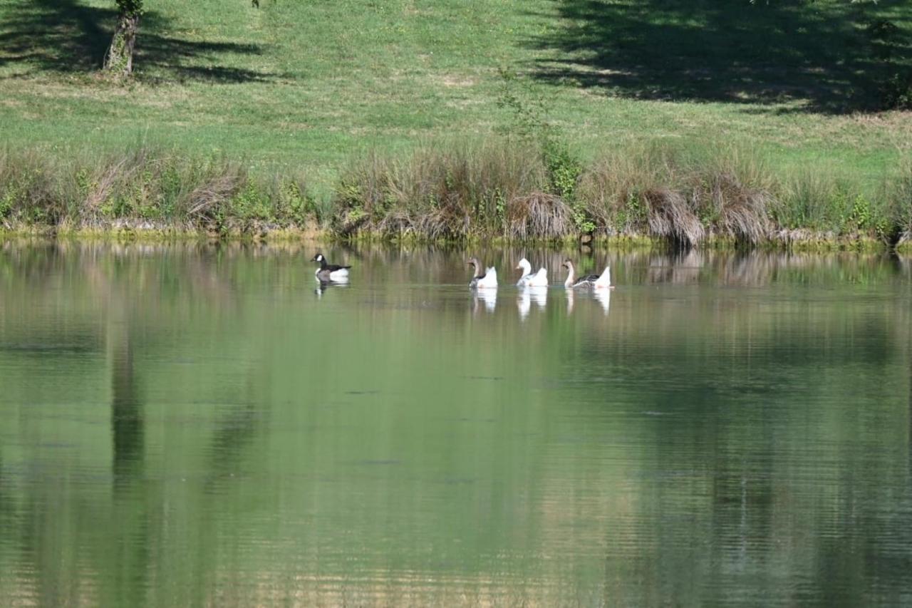 Domaine De Boulouch Hotel Lectoure Luaran gambar